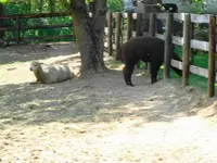 DSC02314.webp