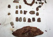 17minis.webp