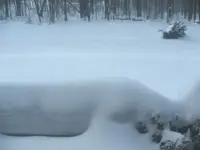 snowback.webp