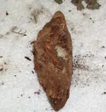 wood like new.webp