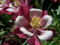 100_2671.webp