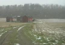 snowy.webp