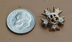 Gold Pin 3.webp