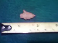 image.webp