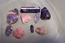 100_2234.webp