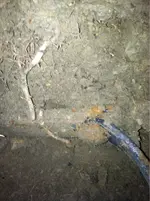 image-3930786159.webp