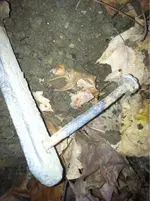 image-4003645489.webp