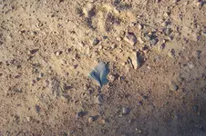 100_2204.webp