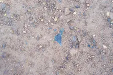 100_2212.webp