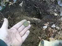 NOV 25th 2 more  COPPERS 85 on the year 009.webp