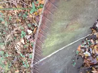 image-3111278281.webp
