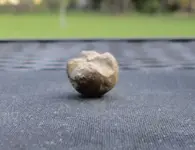 ball 2.webp