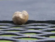ball 3.webp