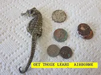 1109NUT.webp