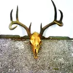 rack.webp