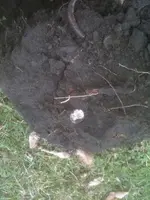 image-4250010281.webp