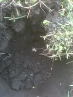 image-2639932127.webp