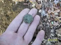 NOV 3rd CELLAR HOLE 2 COPPERS NY CIVIL WAR BUTTON 017.webp