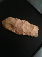 image-2200928639.webp