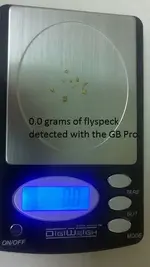flyaa.webp