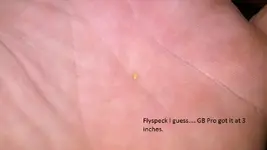 flycc.webp