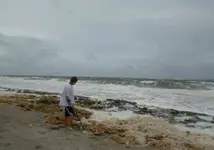 detecting Sandy 01.webp