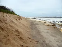 detecting Sandy 07.webp