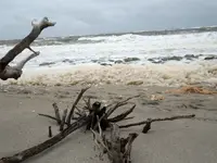 detecting Sandy 03.webp