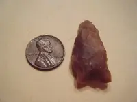 arrowhead pepper patch 010.webp