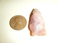arrowhead pepper patch 012.webp