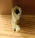 DSCN1796.webp