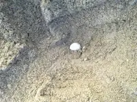 101820121860 - Copy.webp