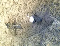 101820121862 - Copy.webp