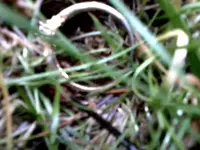 P112412_1552.webp