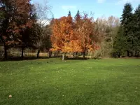 P112512_1232.webp