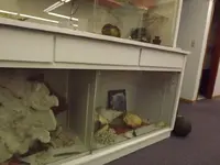 DSCF1104.webp