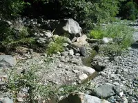 183_8348.webp