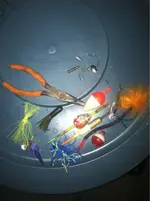 image-1115862227.webp