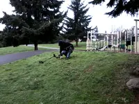 P120812_1138[03].webp