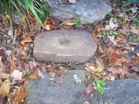 100_4039.webp