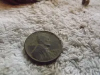 DSCF1163.webp