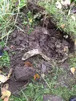 silver chains unearthed sacks.jpg 2.webp