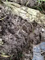silver chains unearthed sacks.webp