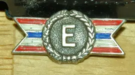 Military pin 2.webp