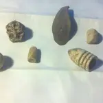 247620_3743899725116_168500109_n.webp