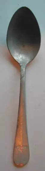 DSCN3599.webp