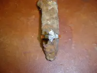 ring1 007.webp