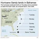 Sandy.webp