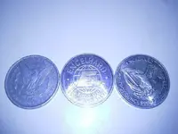 silver coins ..webp