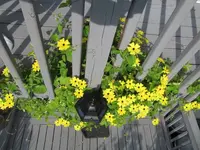 014.webp